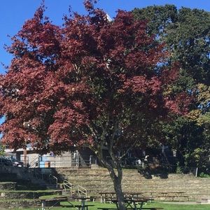 Meet your Posher, Heidi