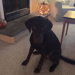 Meet your Posher, Colleen