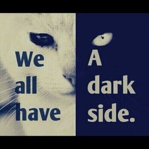 Meet your Posher, Michy