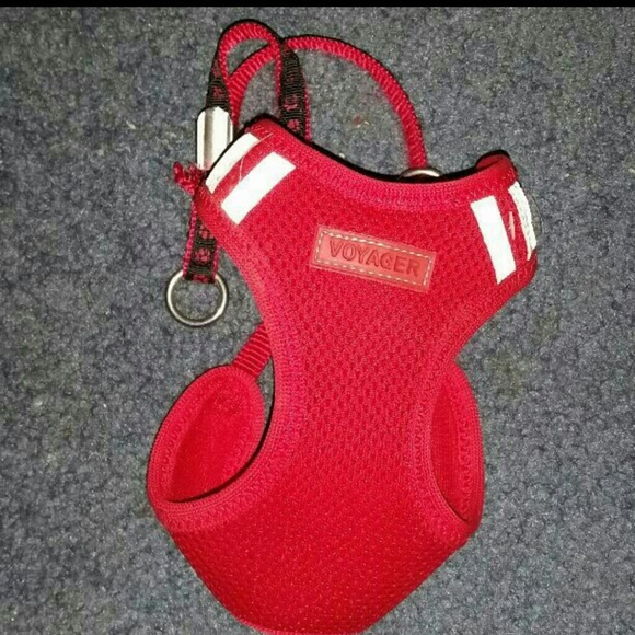 Small Red Dog Harnest