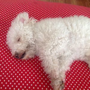 Meet your Posher, Michelle