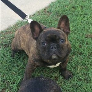 Meet your Posher, Christy