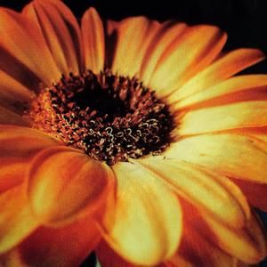 Meet your Posher, Barb