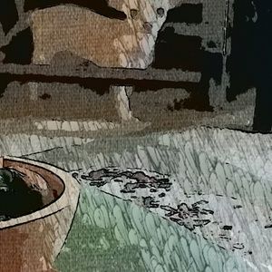 Meet your Posher, Nicky