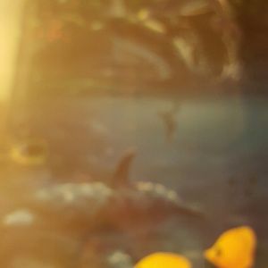 Meet your Posher, Karina