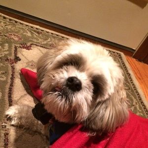 Meet your Posher, Nikki