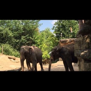 Meet your Posher, Emilee