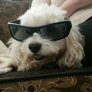 Meet your Posher, Mike