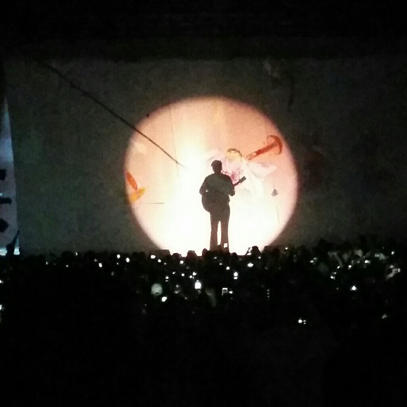 Meet your Posher, Fallon💕 - Picture 5 of 6