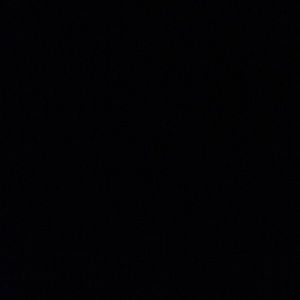 Meet your Posher, Carl