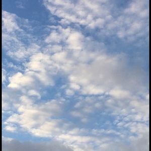 Meet your Posher, Toni