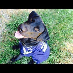 Meet your Posher, Trisha