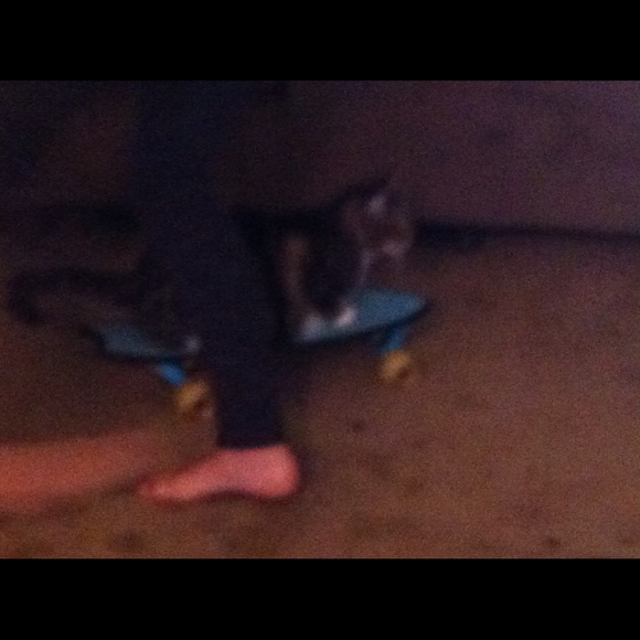 Meet your Posher, Jessie - Picture 1 of 1