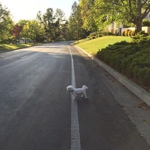 Meet your Posher, Melissa