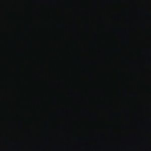 Meet your Posher, Chana