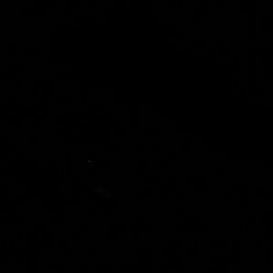 Meet your Posher, Bernard