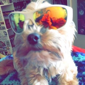 Meet your Posher, Jessica