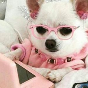 Meet your Posher, Ericka