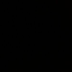 Meet your Posher, Fiona