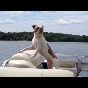 Meet your Posher, Rachel