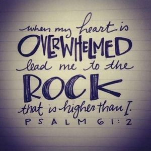 Meet your Posher, Betsy