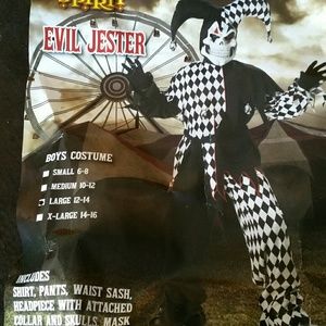 Boys Jester costume