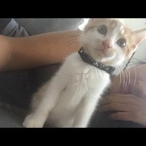 Meet your Posher, Rocio