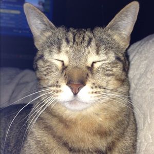 Meet your Posher, Julie