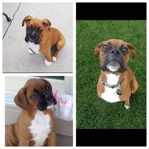 Meet your Posher, Brandon