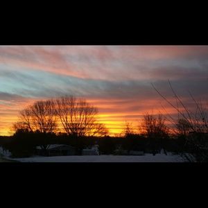 Meet your Posher, Cara