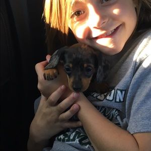 Meet your Posher, Brandy