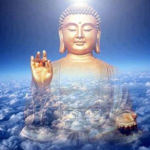 Meet your Posher, Toan