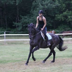 Meet your Posher, Nicole