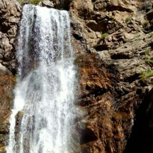 Meet your Posher, Tanya