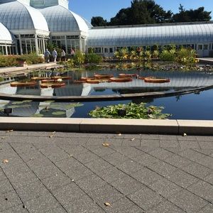 Meet your Posher, Aracely