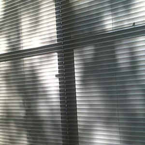 Meet your Posher, Ophelia