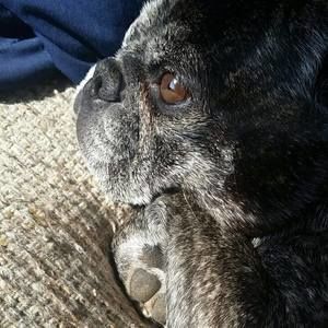 Meet your Posher, Kaylee