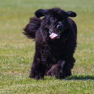 Meet your Posher, Wendy