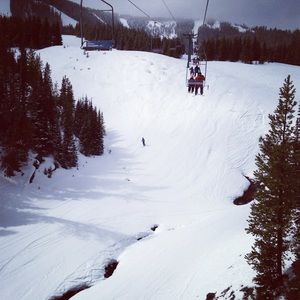 Meet your Posher, Brehanne