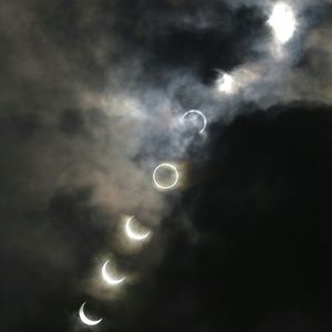 Meet your Posher, Donald