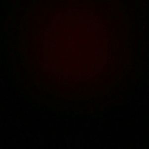 Meet your Posher, Dominique