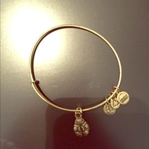 Alex and Ani lady bug