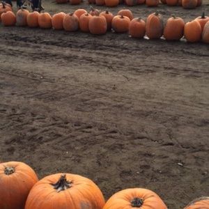 Meet your Posher, Boop