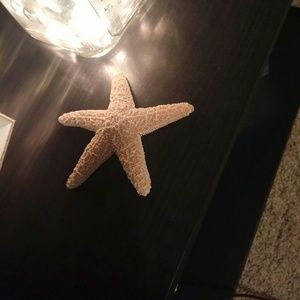 Meet your Posher, Shelby