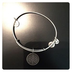Silver Alex and Ani. Seven swords.