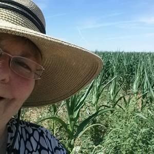 Meet your Posher, Ginger