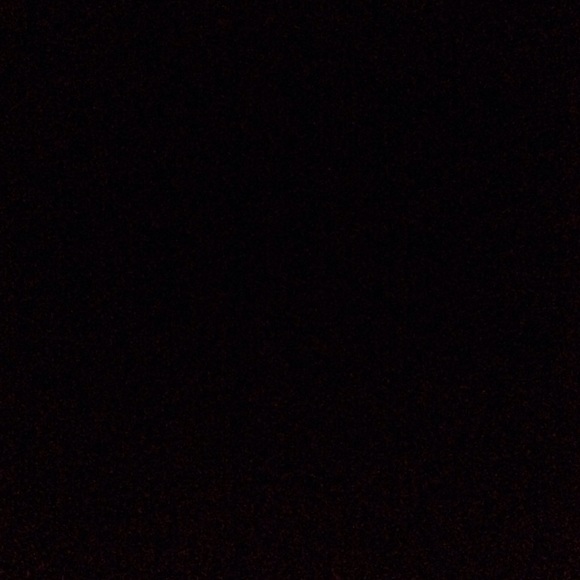 Green hunter boots. These are not the glossy ones.