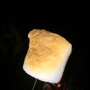 Meet your Posher, Lorie