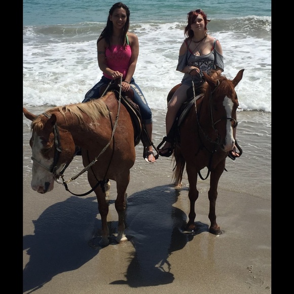 Meet your Posher, Anna - Picture 2 of 4