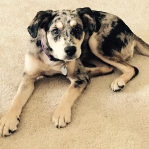 Meet your Posher, Amber